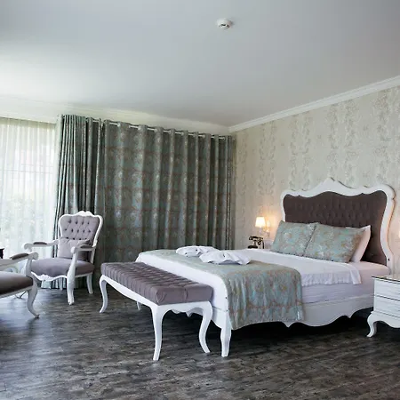 戈西克纳兹酒店