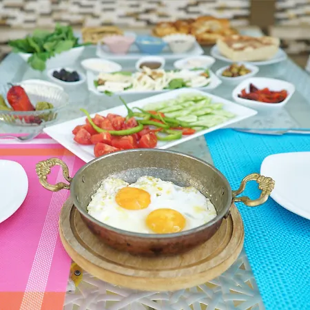 戈西克纳兹酒店 酒店