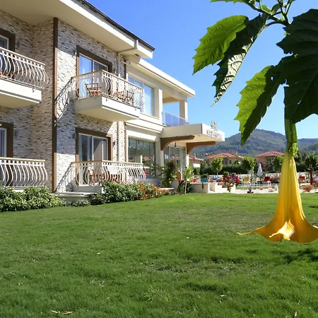 戈西克纳兹酒店 3* 戈西克