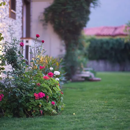 酒店 戈西克纳兹酒店 戈西克
